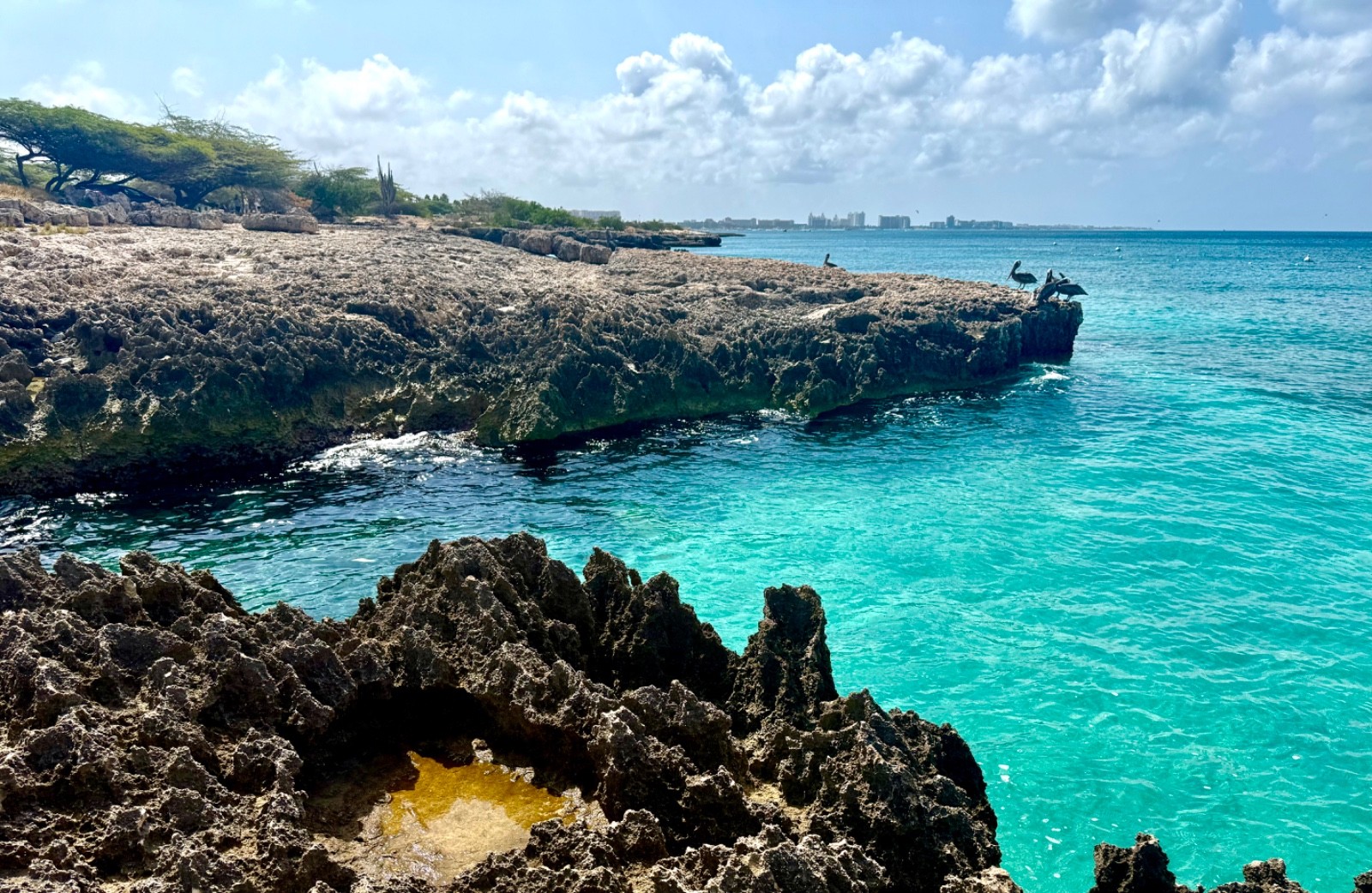 Marriott’s Aruba Surf Club Aruba 2 Bedroom Vacation Rental Sept 6-Sept 13, 2026