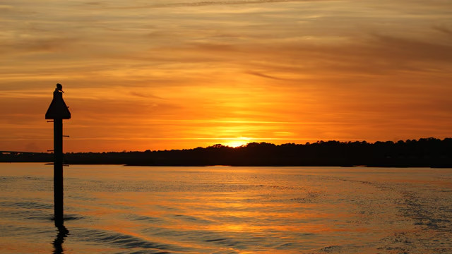 Disney Hilton Head Island Resort DVC Vacation Hotel ANY 4 Nights ANY YEAR 3 BR
