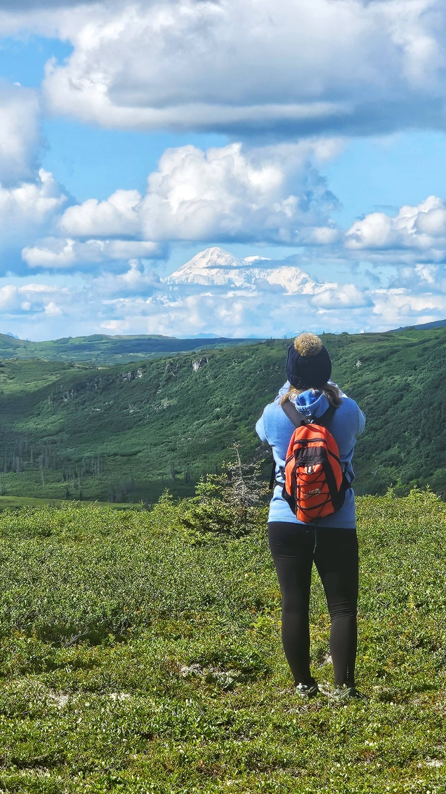 All-inclusive Fly-out Wilderness Lodge Near Talkeetna, Alaska | Caribou Lodge
