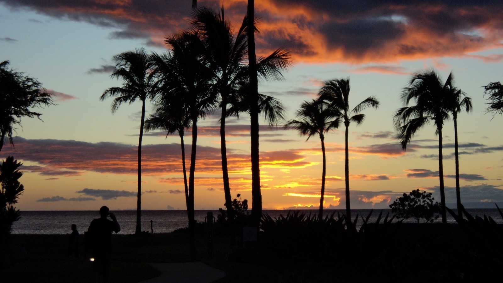 Westin Kaanapali Hawaii – Studio, 1BR or 2BR – choose your 2026 date