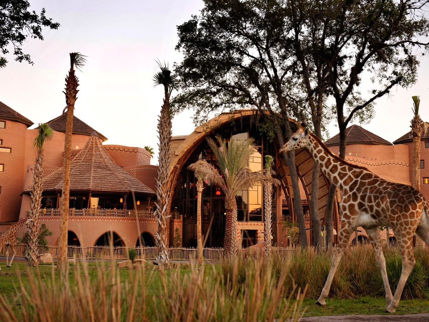 Disney’s Animal Kingdom Villas Jambo House Hotel ANY 2 Night ANY YEAR 2 BR point