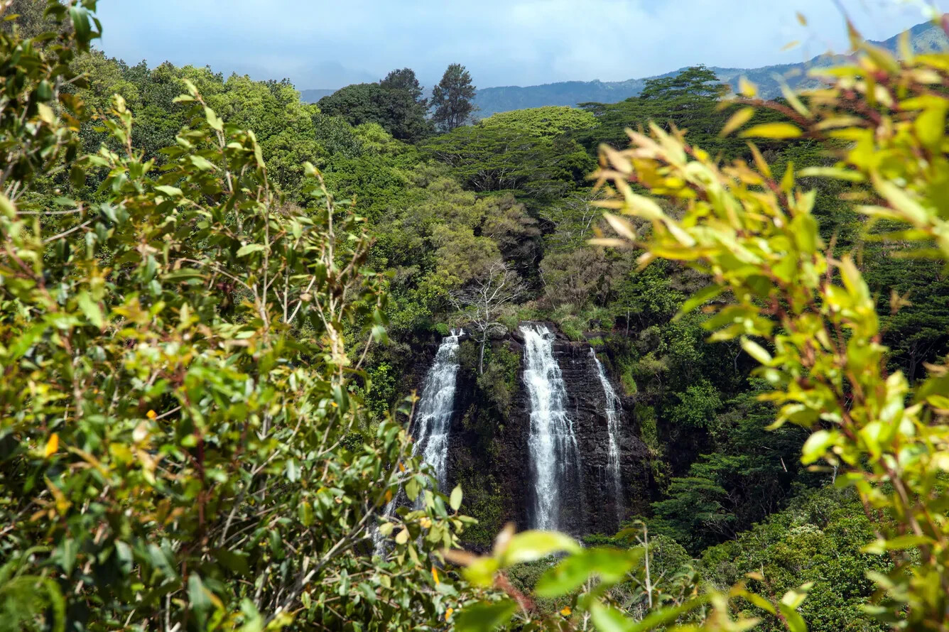 Marriott Westin Princeville Ocean Resort Villas 2 BR 5 Nights ANY YEAR Hotel
