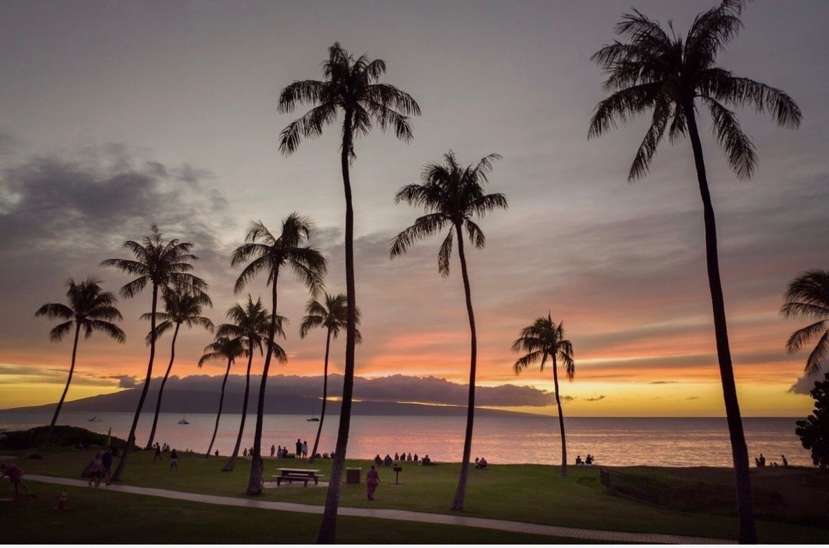 WESTIN KAANAPALI OCEAN RESORT VILLA BEST DEAL! ANY 5 nights Bedroom AND Studio!