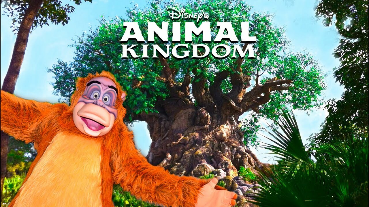 Disney World Vacation Rental = Animal Kingdom – Savanna view 12/24 – 12/26