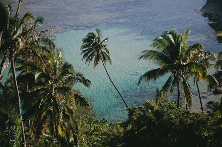 Bali Hai Kauai – The Vacation You Deserve!! – 1 Bdrm Deluxe Suite Dec 1-6/2026