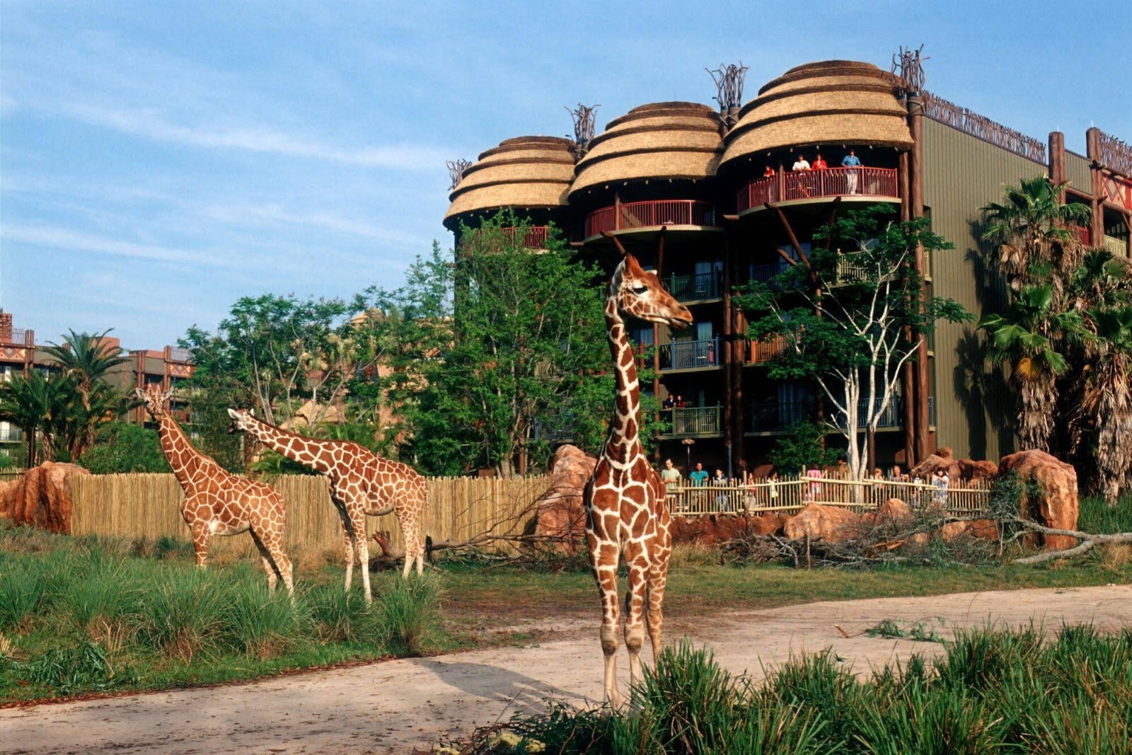 Disney Animal Kingdom Villas Jambo House Hotel ANY 1 Nights ANY YEAR 2 BR point