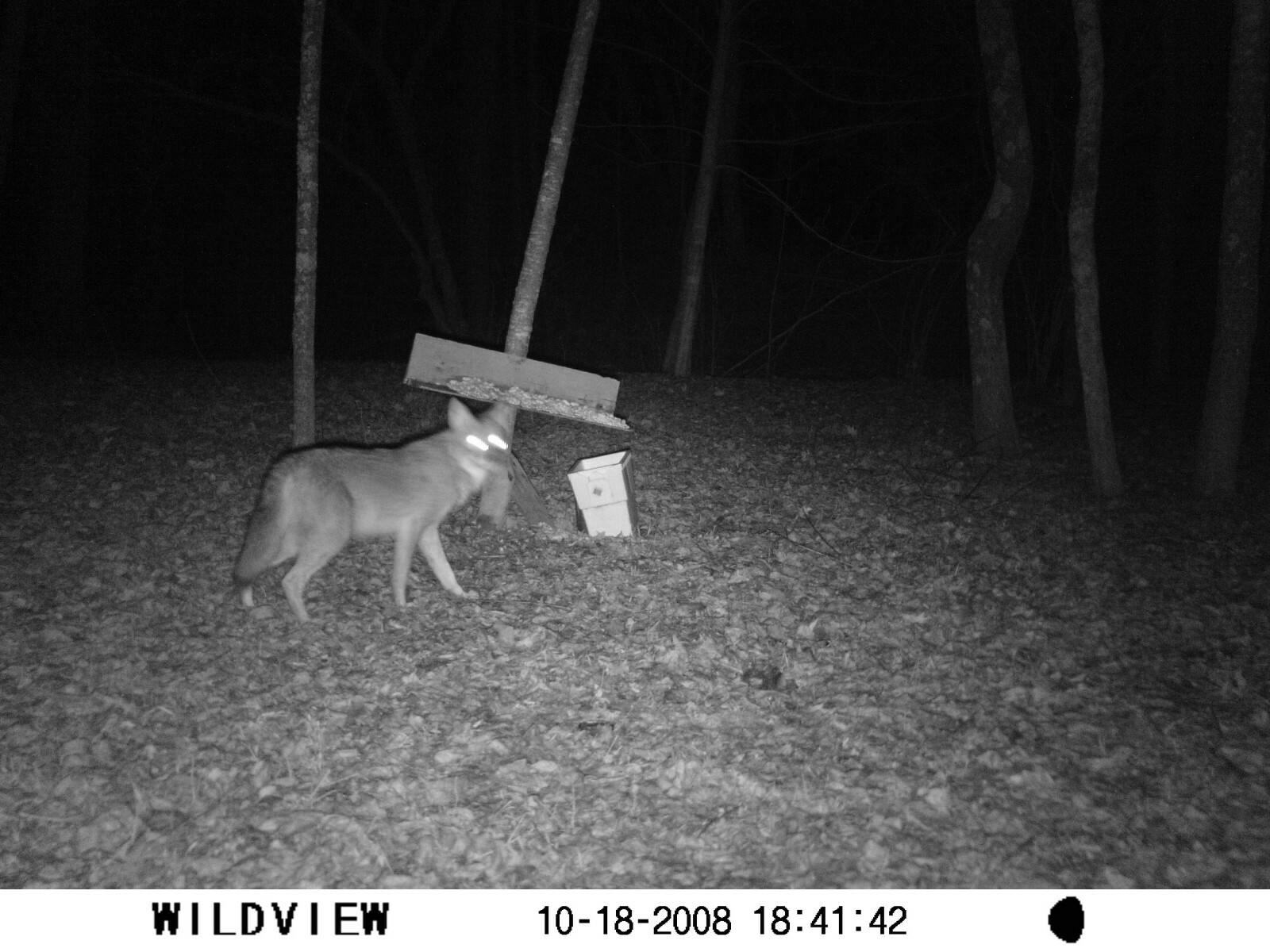 Georgia Mountain Cabin Rental Appalacian Trail,Waterfall,Wildlife,Wineries,Helen