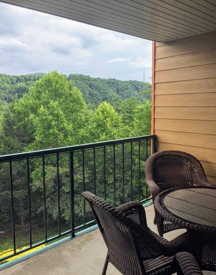 Gatlinburg TN Smokey Mountain Hilton Mountainloft Resort Vacation Jul 25-Aug 1