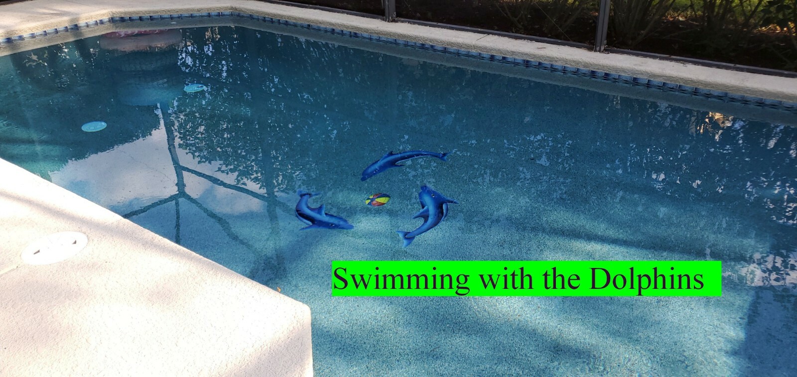 Disney World Florida VACATION RENTAL HOUSE Orlando 6 Bedroom