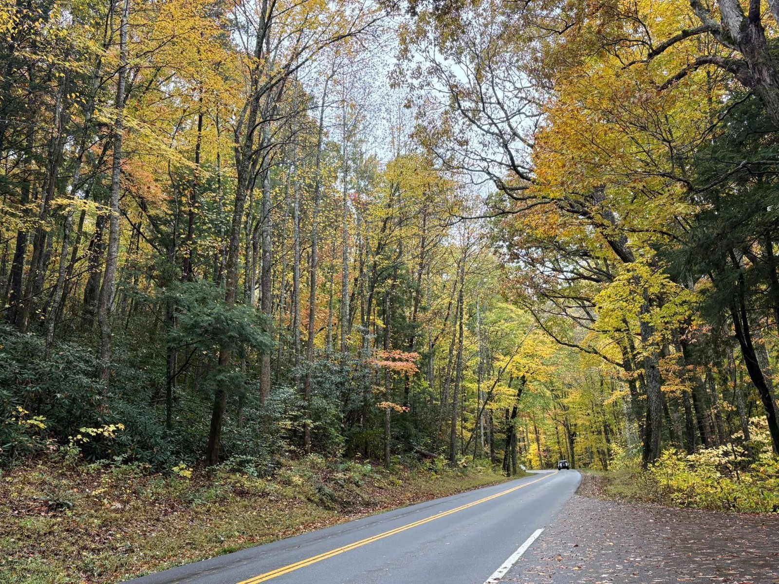 Westgate Smokey Mountain Resort- Gatlinburg TN. 2BR 3-Nights Oct. 18-21, 2026
