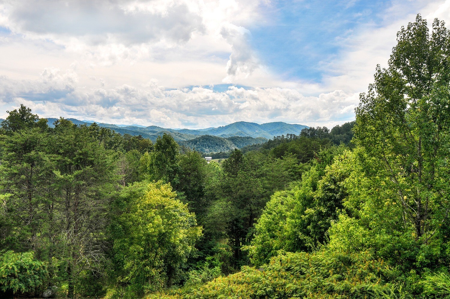 Smoky Mountain Splendor Sevierville TN, 2 BR, 3 bath, wrap around porch 2/3 acre