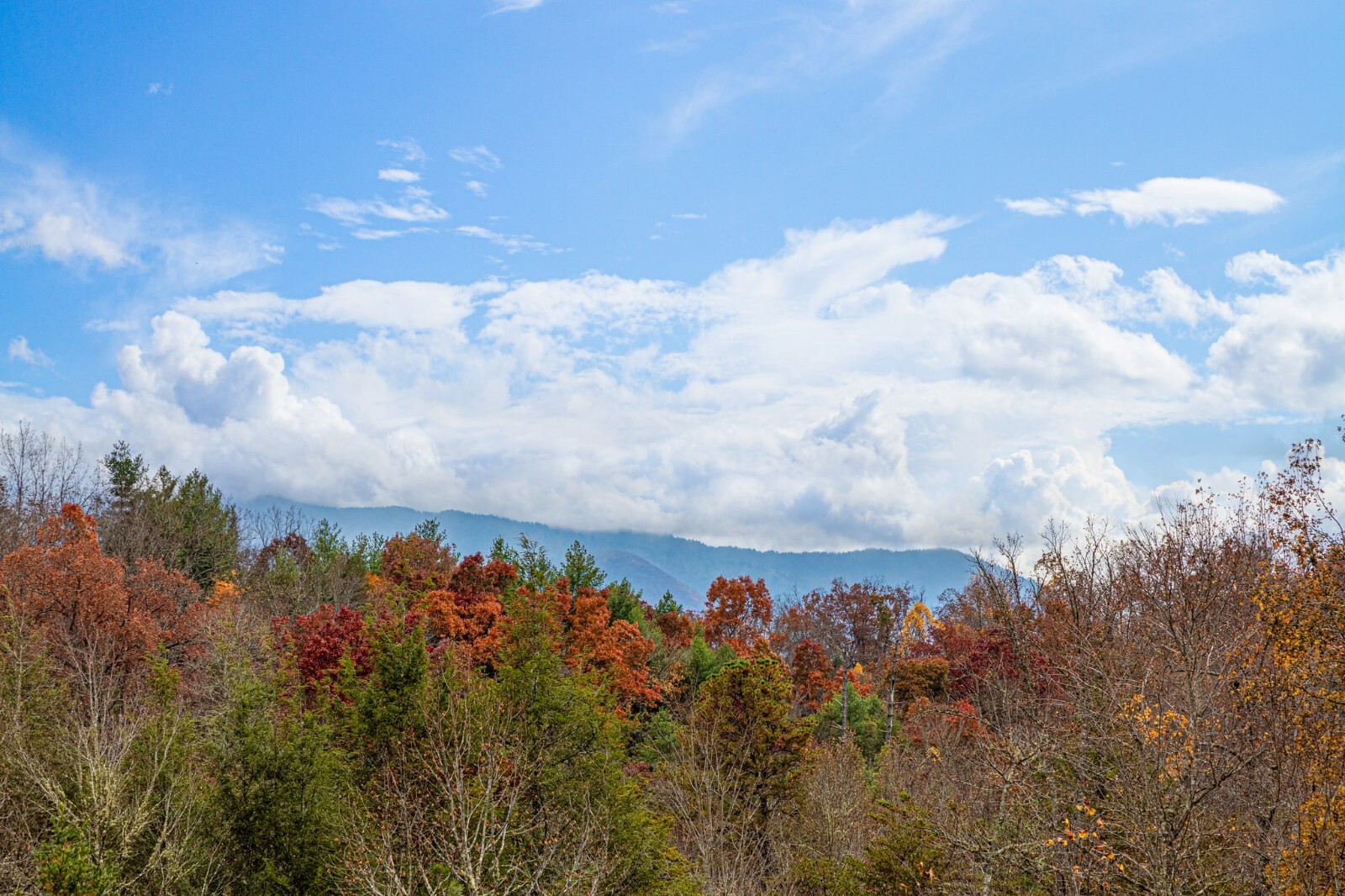 7 Nts Aug Smoky Mountains Gatlinburg & Pigeon Forge Vacation Rental 5 bd/3.5 ba