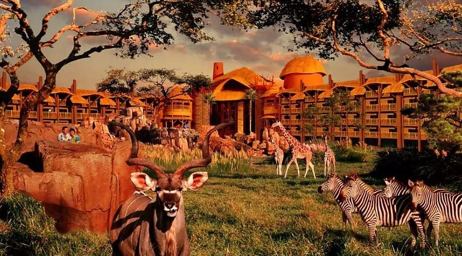 Disney Animal Kingdom Villas Jambo House Hotel ANY 1 Nights ANY YEAR 3 BR point