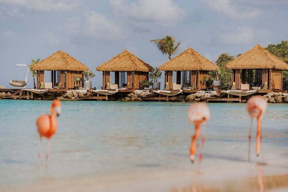 Renaissance Wind Creek Aruba Resort ~ 1BR/Sleeps 4 ~ 7Nts October 2 thru 9, 2026