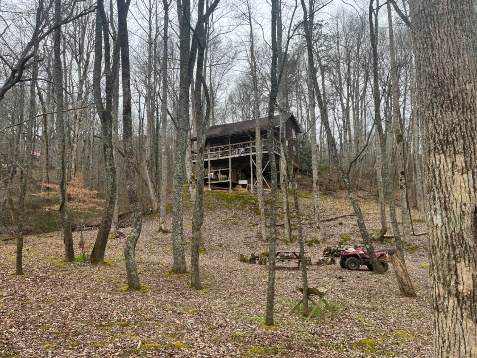 Georgia Mountain Cabin Rental Appalacian Trail,Waterfall,Wildlife,Wineries,Helen