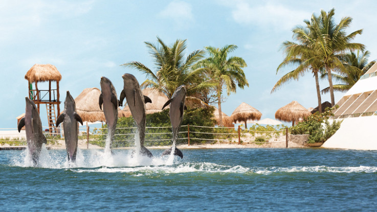HYATT ZIVA CANCUN MEXICO VACATION BEACH RESORT ALL INCLUSIVE MEMBER RATES