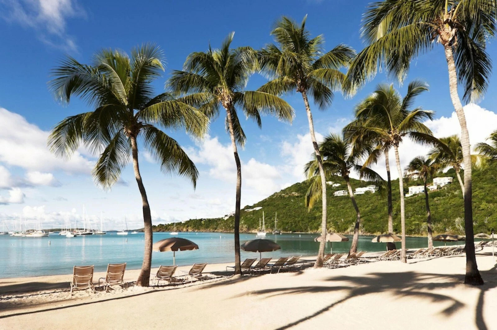 Deeded Week 33 Westin St. John USVI FOR RENT/SALE – August 16-2, 2025 +++ VIEWS!