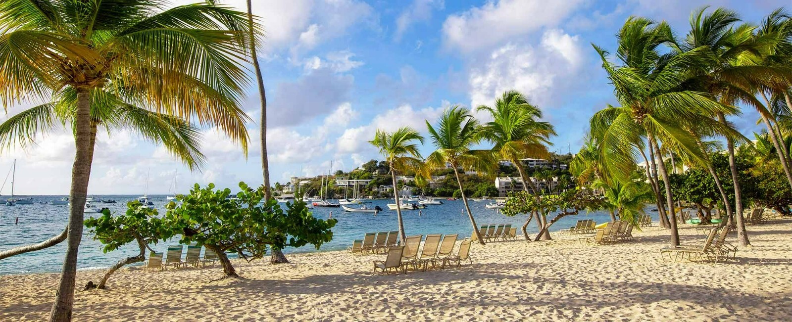 Elysian Beach Resort, St. Thomas -Studio King