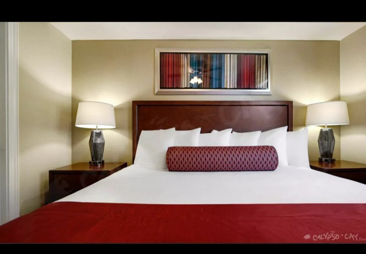 APRIL MAY 2026 WEEKS~ CALYPSO CAY Resort ~ Orlando~1BR~SLPS 4