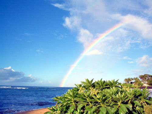 * * LAWAI BEACH RESORT * SUNNY POIPU * KOLOA * SOUTH SHORE KAUAI * *