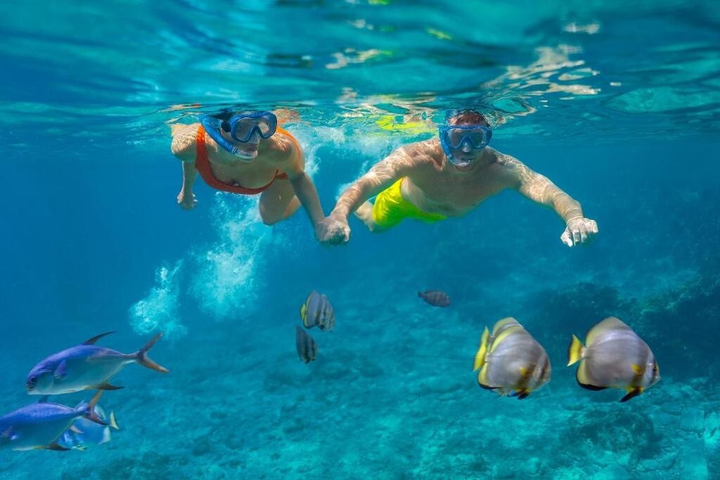 Cozumel Palace Vacation Package Inquiry Diamond Affiliates Divers & Snorkeler