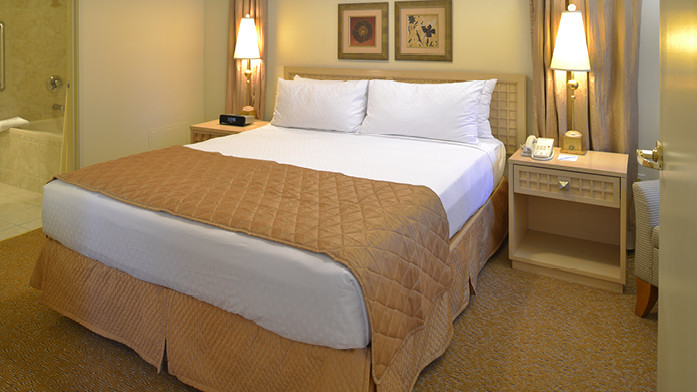 Polo Towers Villas Las Vegas NV-1 bdrm Jan Feb Mar March *Best Offer*