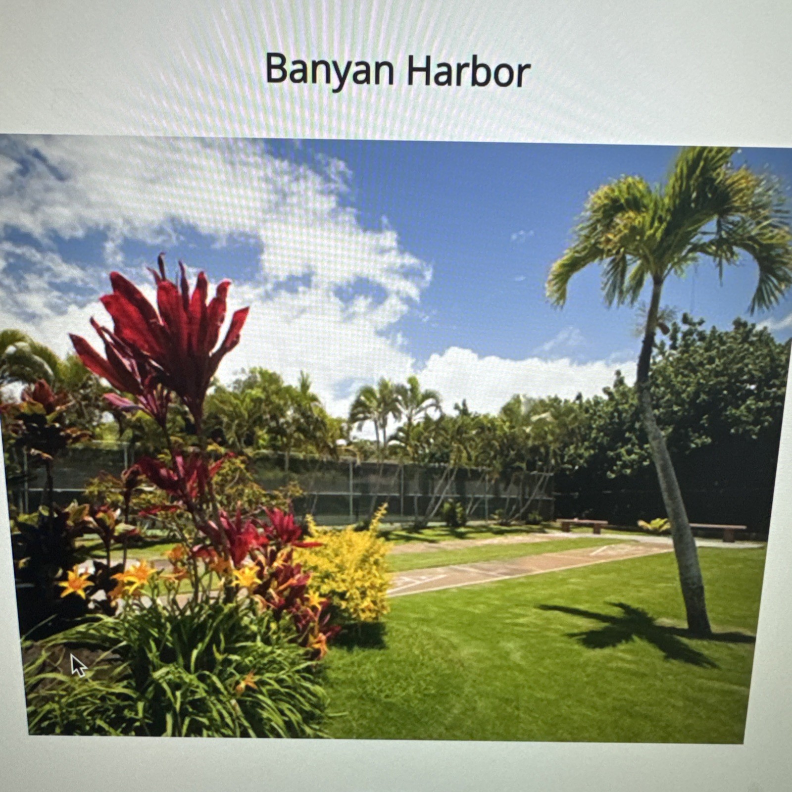 Banyan Harbor Resort – Lihue, Kauai, Hawaii Nov 3-10