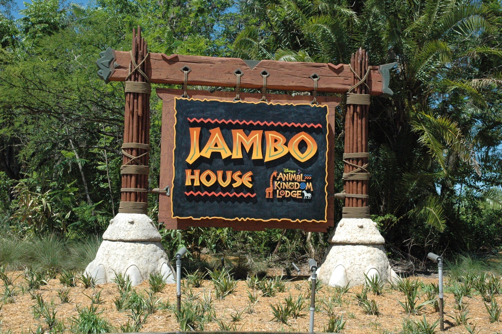 Disney Animal Kingdom Villas Jambo House Hotel ANY 1 Nights ANY YEAR 2 BR point