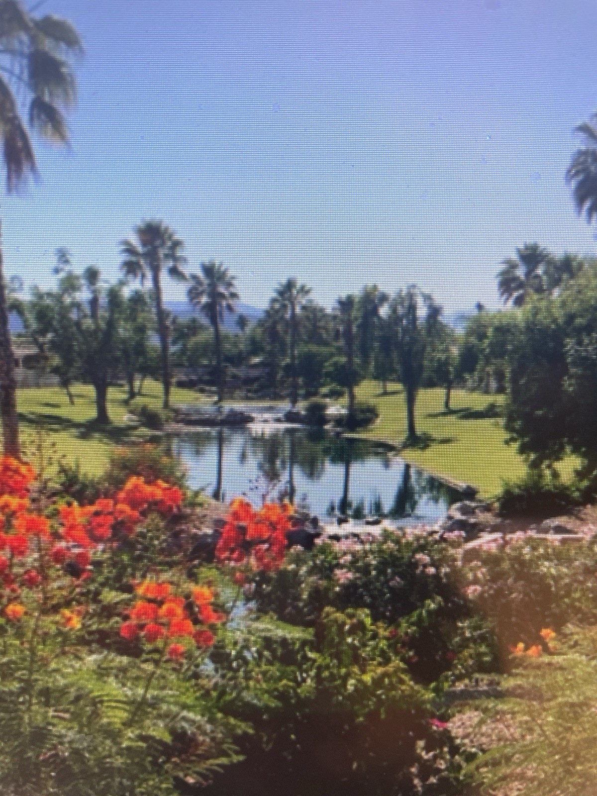 Coachella 2brm: Sat 4/12-19 2025 REDUCED!!