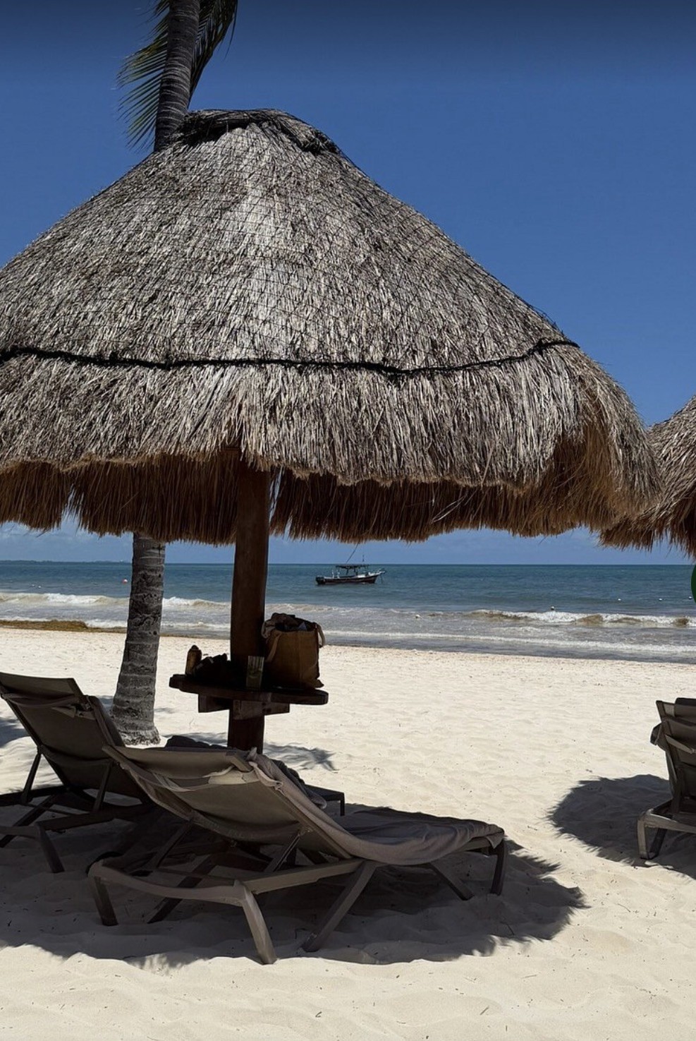 Secrets Maroma Resort & Spa – up to 40% off – 2026 VIP Studio Prefered!