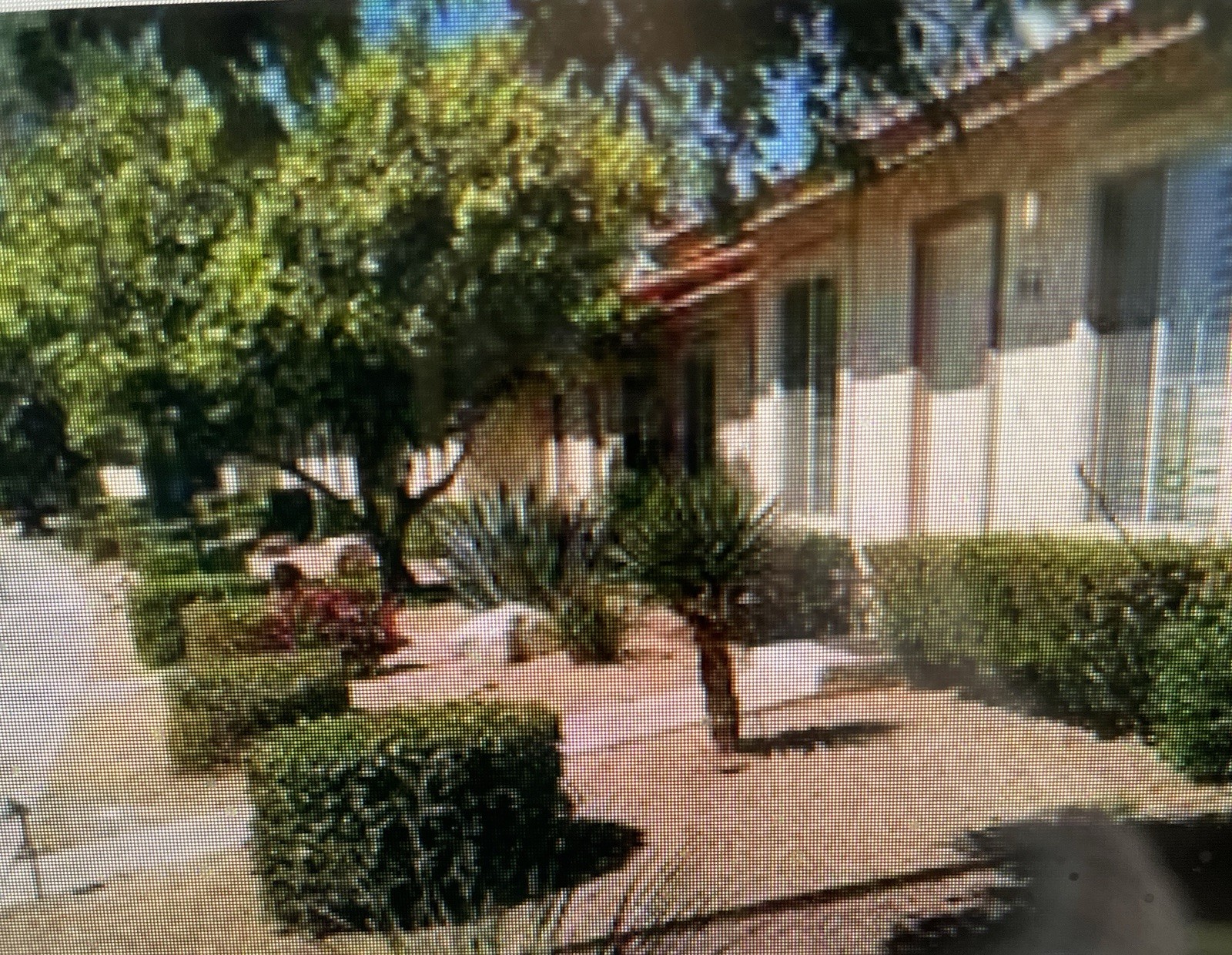 Coachella 2brm: Sat 4/12-19 2025 REDUCED!!