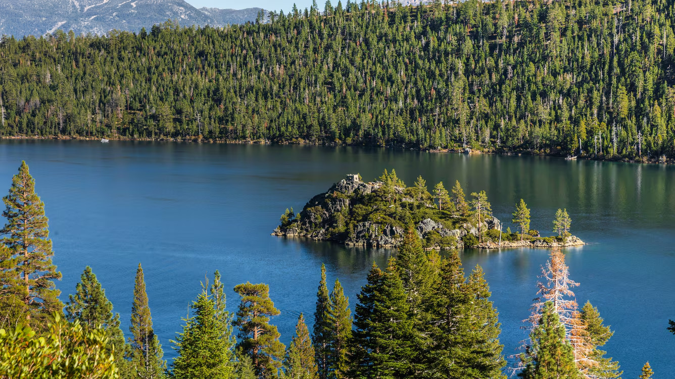 Marriott Timber Lodge Lake Tahoe Ski Resort 2BR VILLA 7 Nights OCT ANY YEAR