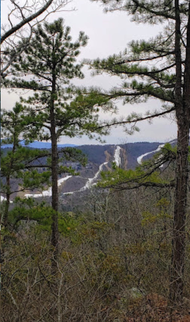 Massanutten Resort 2 BR Condo, 7 night, Massanutten, Virginia 4/1-4/7