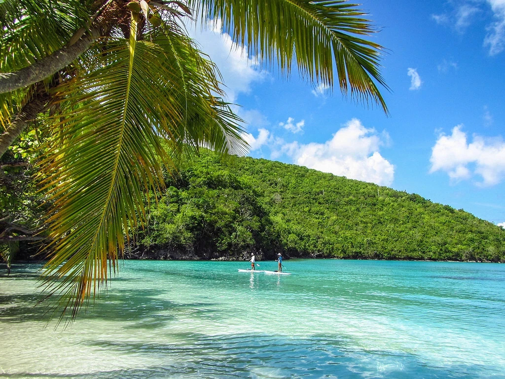 Deeded Week 33 Westin St. John USVI FOR RENT/SALE – August 16-2, 2025 +++ VIEWS!