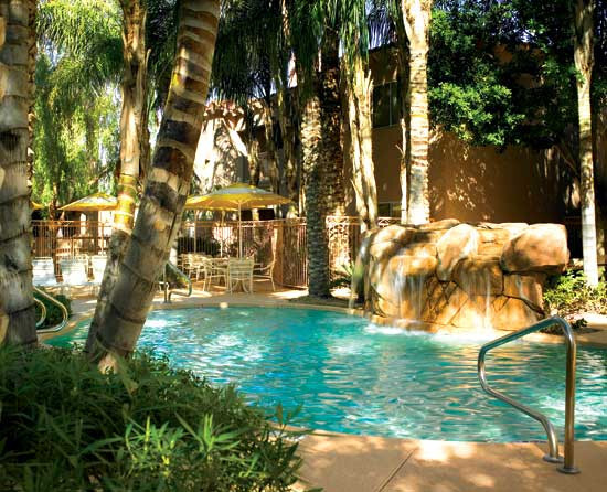 Luxury Scottsdale Sheraton Desert Oasis 1 Bedroom March 7-14 (7 Nights)