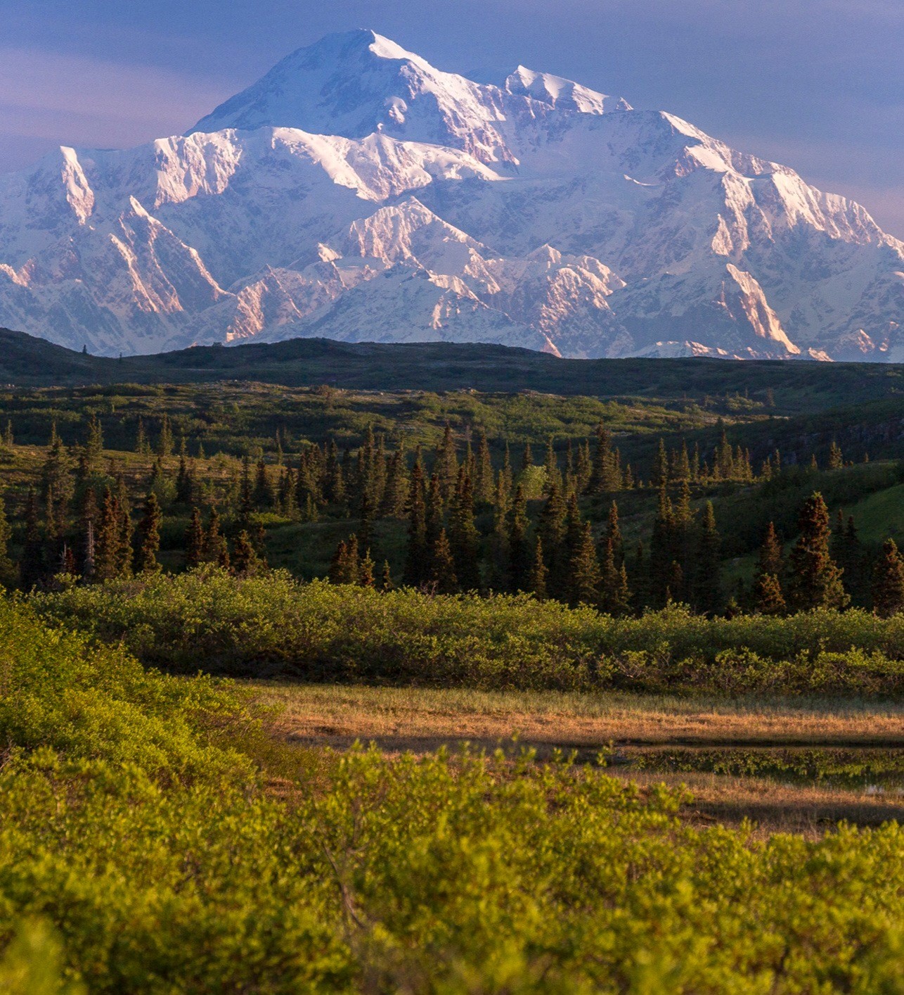 All-inclusive Fly-out Wilderness Lodge Near Talkeetna, Alaska | Caribou Lodge