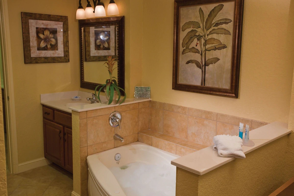 3 Bedroom Bonnet Creek Disney Orlando FL- Nov Dec Jan