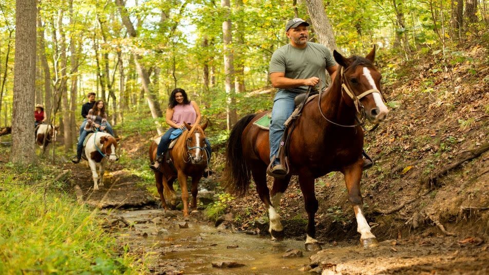 🏔️ Blue Ridge Mountain Getaway! Shenandoah Crossing 2BR Cabin Jul 12-16 2026