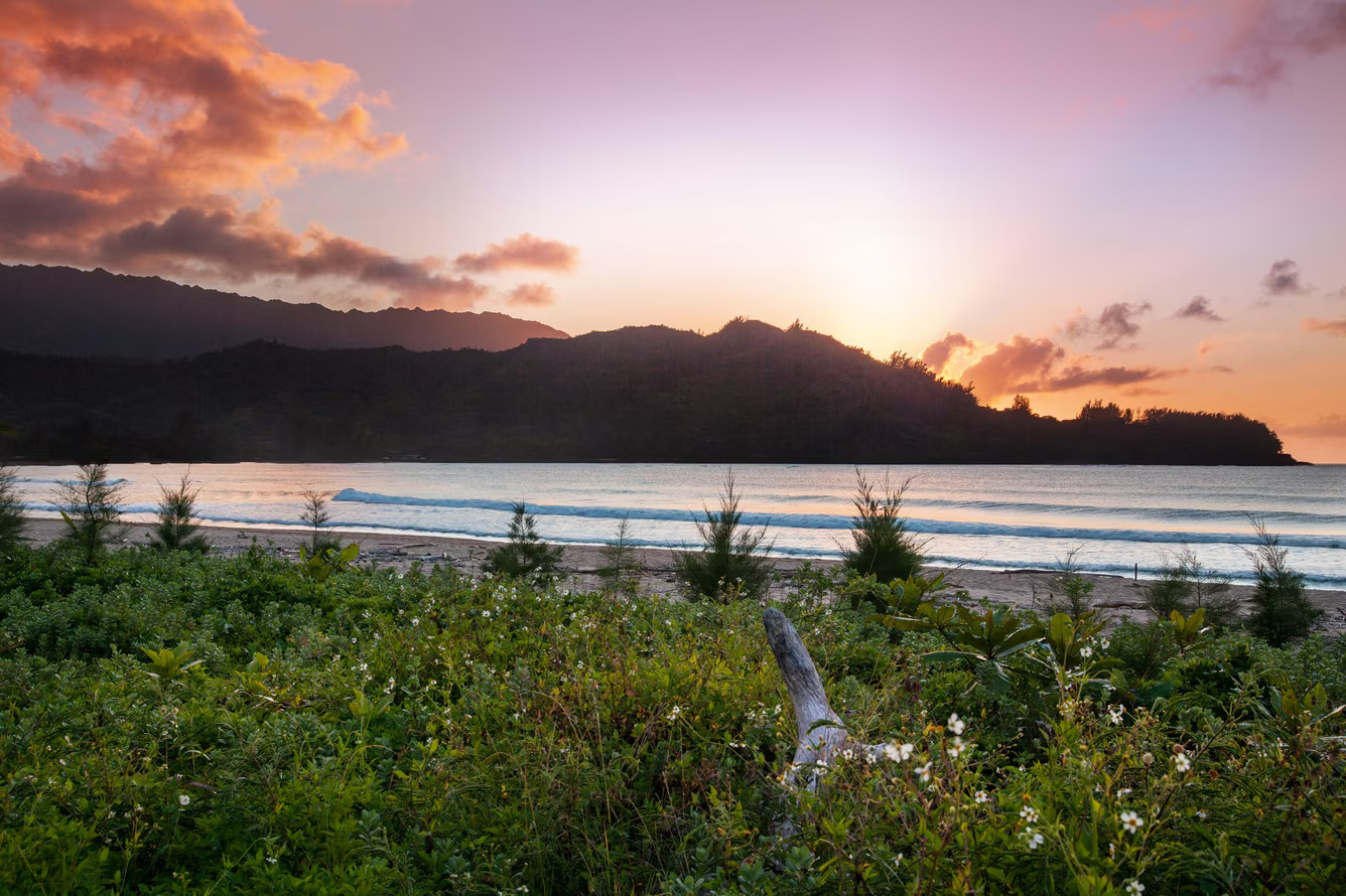 Marriott Westin Princeville Ocean Resort Villas 2 BR 5 Nights ANY YEAR Hotel