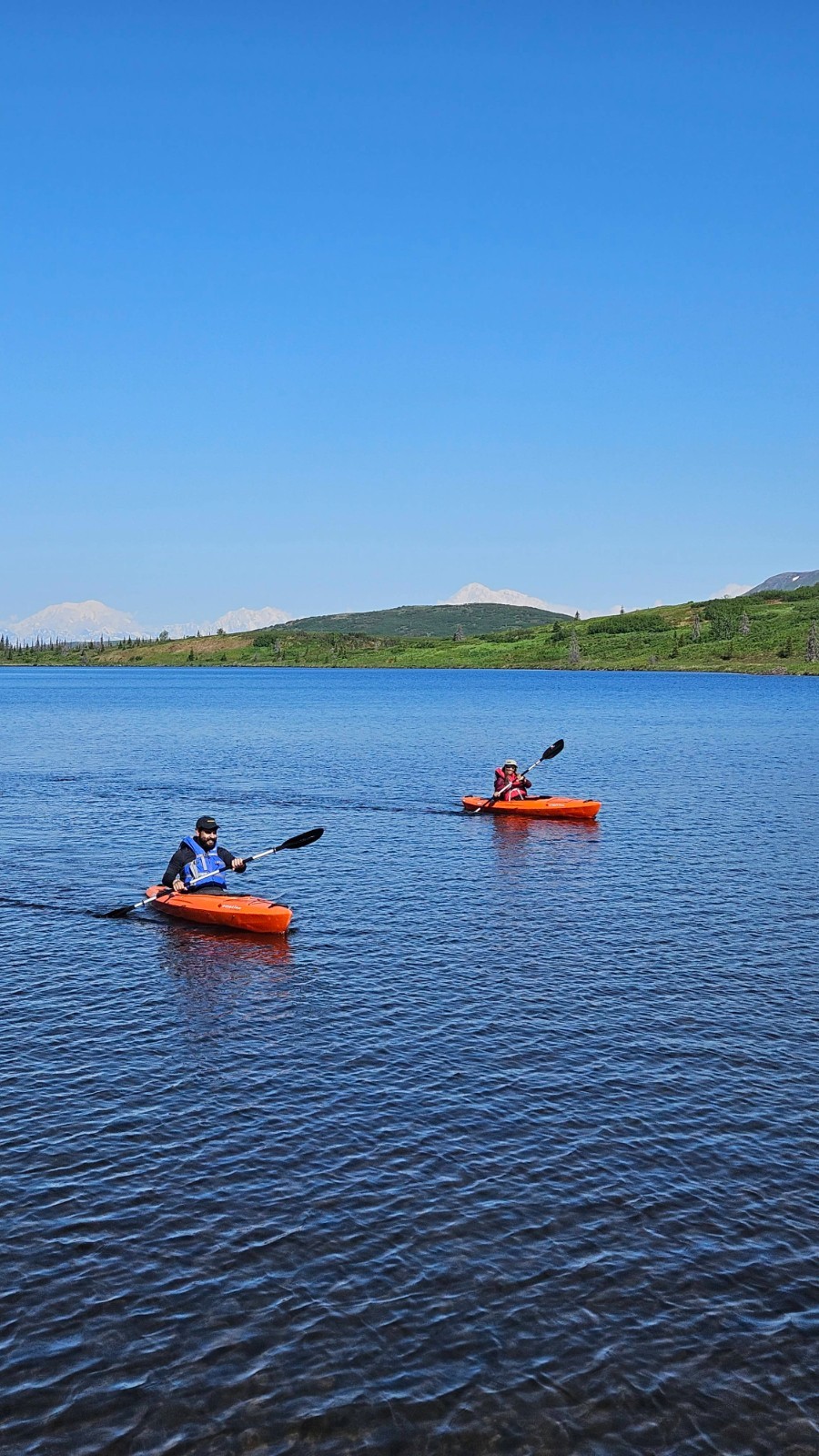 All-inclusive Fly-out Wilderness Lodge Near Talkeetna, Alaska | Caribou Lodge