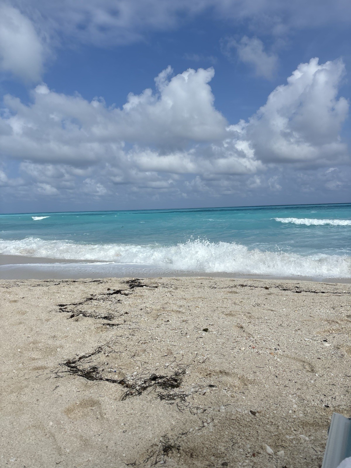 Palace Resorts Moon, Sun, Beach, Playacar, Cozumel, Leblanc, Punta CAna