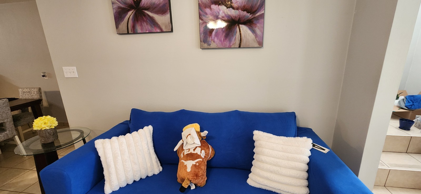 Vacation Home in South Texas Sleeps 17