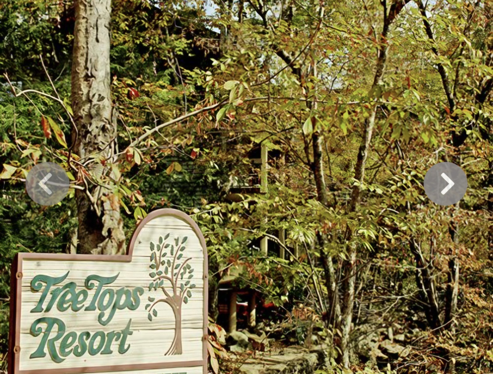 SEPTEMBER 12-19~TREE TOPS RESORT~Gatlingburg Mountains~2BR SLPS 6