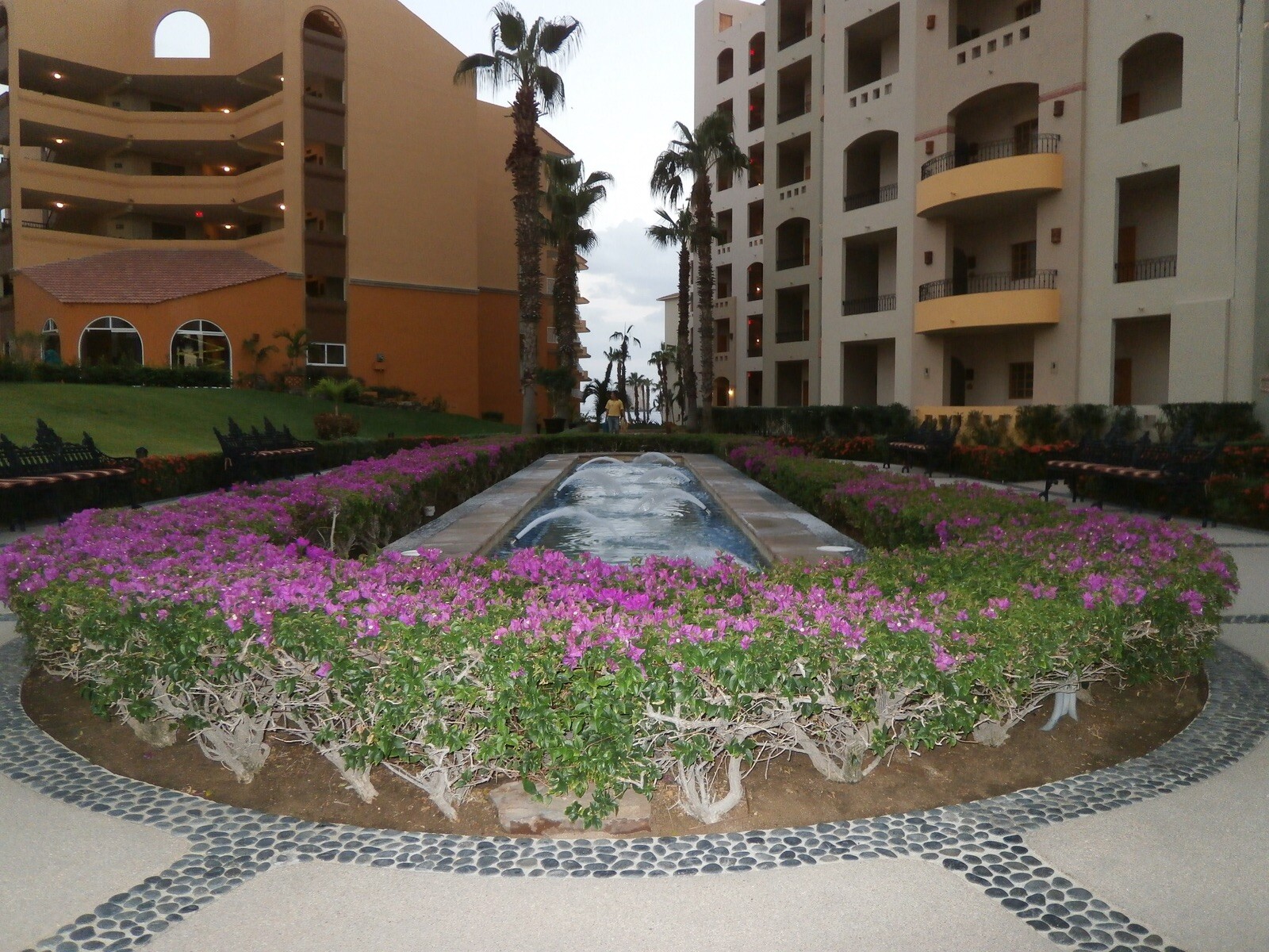 Cabo San Lucas Mexico Villa Del Palmar Studio Or One Bedroom. From 799.00