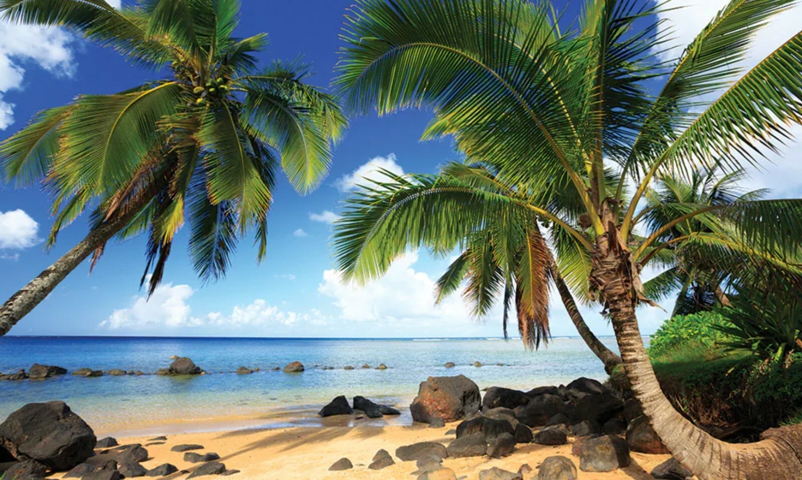 Club Wyndham Shearwater Resort Kauai Hawaii Princeville 7 Nights ANY YEAR 3BR