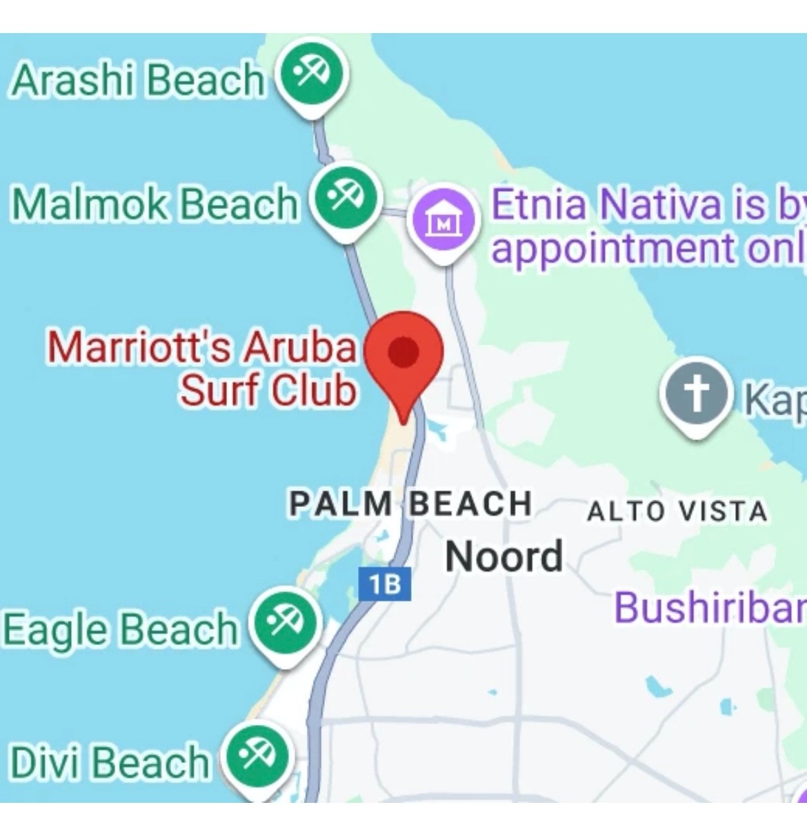 MARRIOTT’S ARUBA SURF CLUB Timeshare Rental-Ocean View 2 bdrm Villa 10/10-17/26