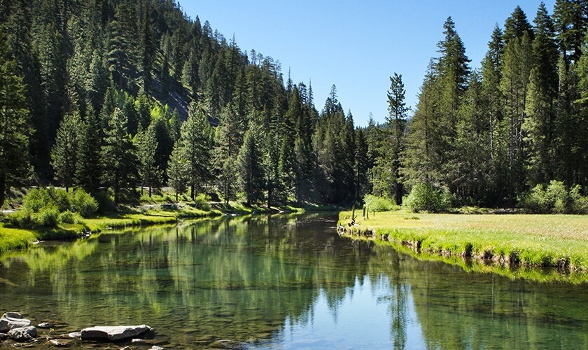 Olympic Valley / Palisades Tahoe, CA Red Wolf Lodge Studio June 14-21
