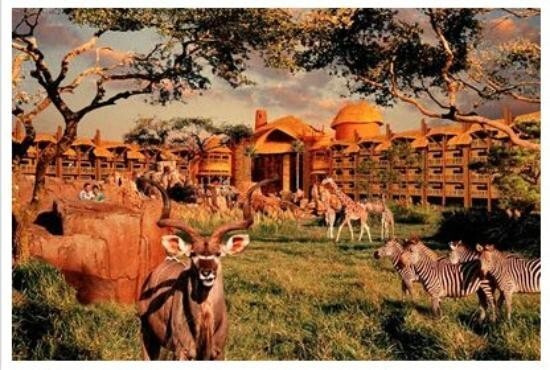 Disney Animal Kingdom Villas Kidani Village SAVANNA VIEW 5 NIGHTS 1 BR ANY YEAR